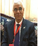 Dr. Abdelmonem Awad M. Hegazy