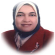 Dr. Mimi.M.Mekkawy